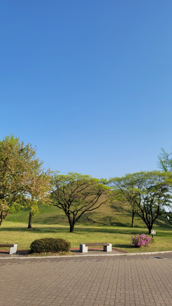 국립 경주 박물관 아이들과 경주여행 : 3년만의 경주. ㅡ 소노벨경주, 53