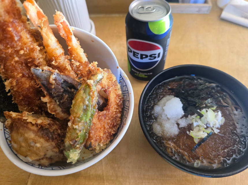 코카모메 사진 4