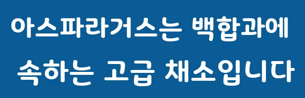 아스파라거스는 백합과에 속하는 고급 채소입니다