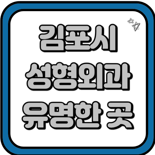 김포시 성형외과 추천 및 유명한곳 알아보자 TOP 3