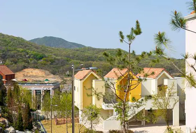 용인자작나무숲펜션