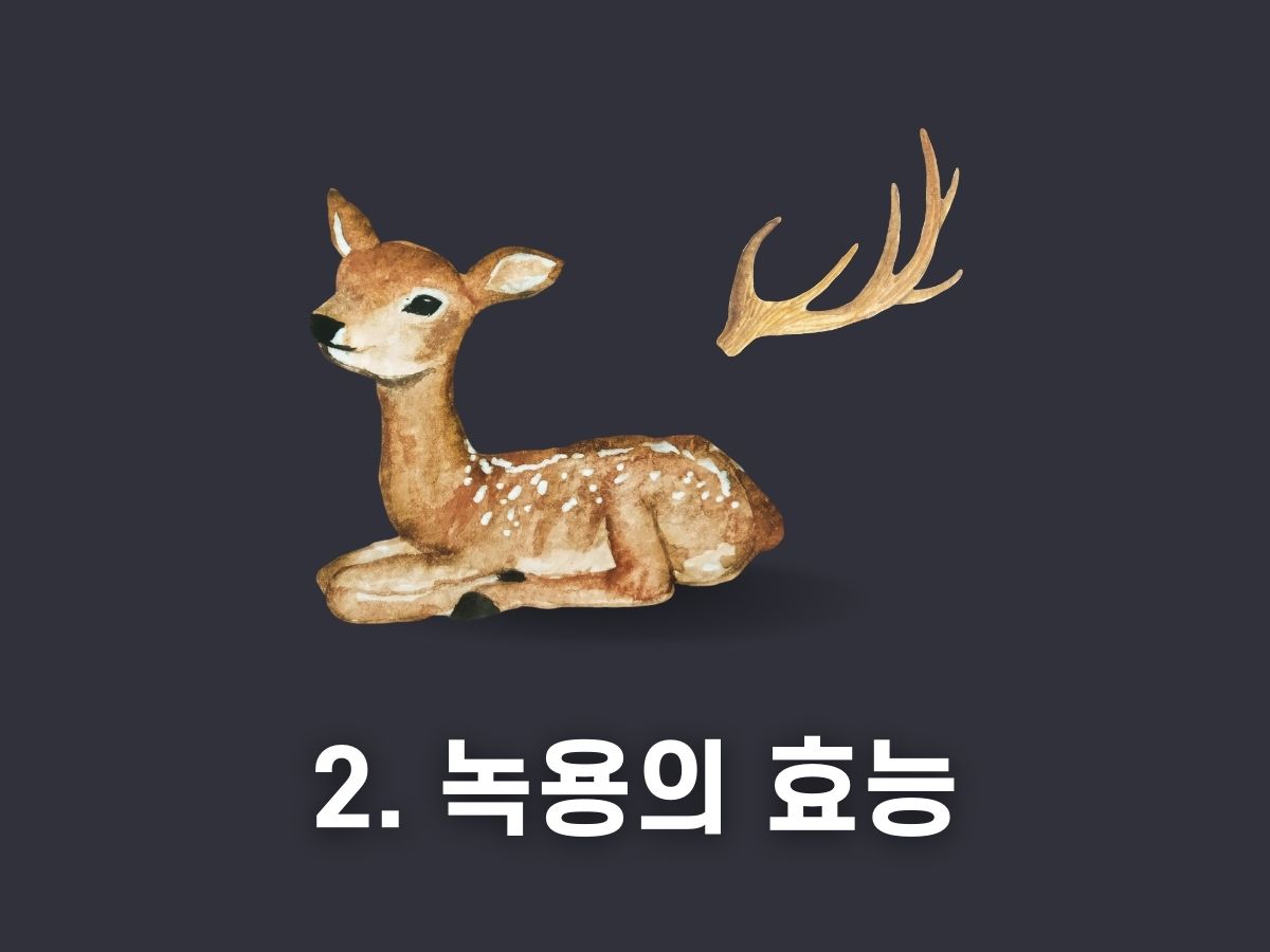 2. 녹용의 효능