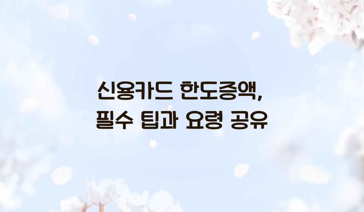 신용카드 한도증액