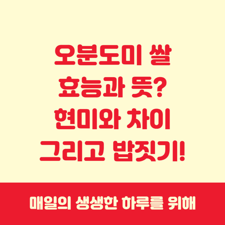 오분도미효능