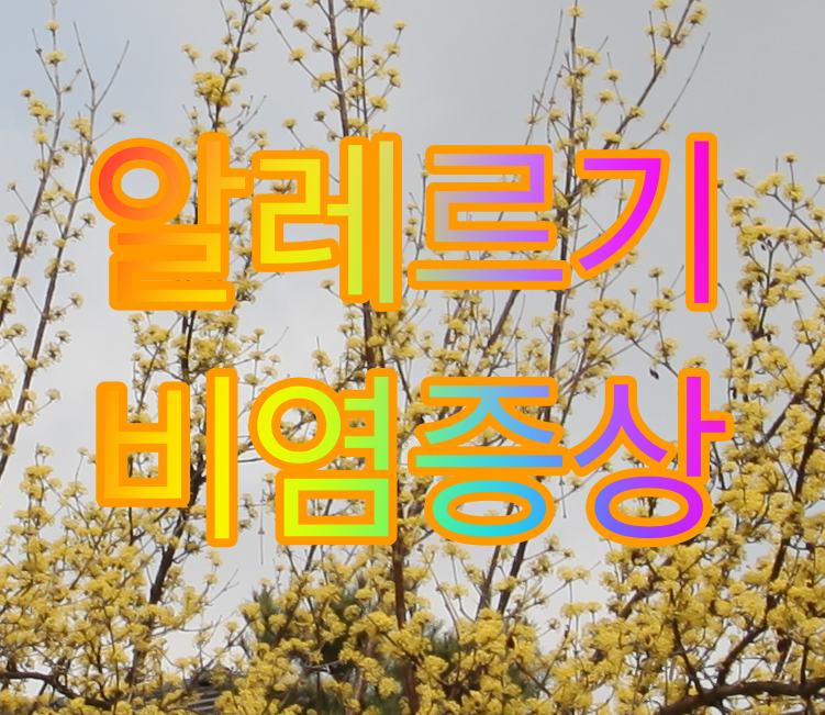  알레르기 비염 증상과 예방