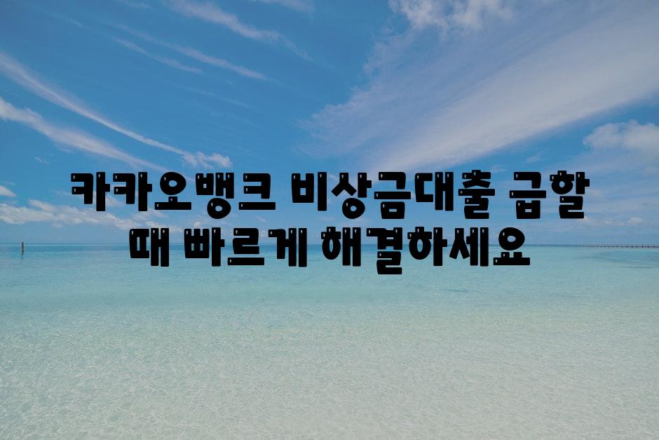 카카오뱅크 비상금대출 급할 때 빠르게 해결하세요