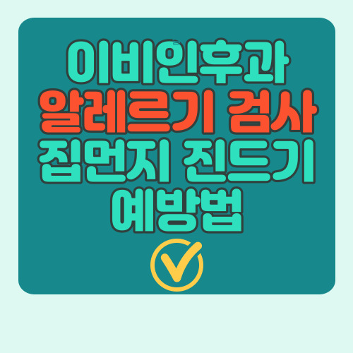  알레르기 피검사로 집먼지 진드기 양성 반응 확인 후기