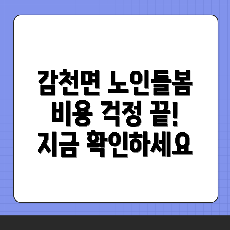 노인돌봄서비스
