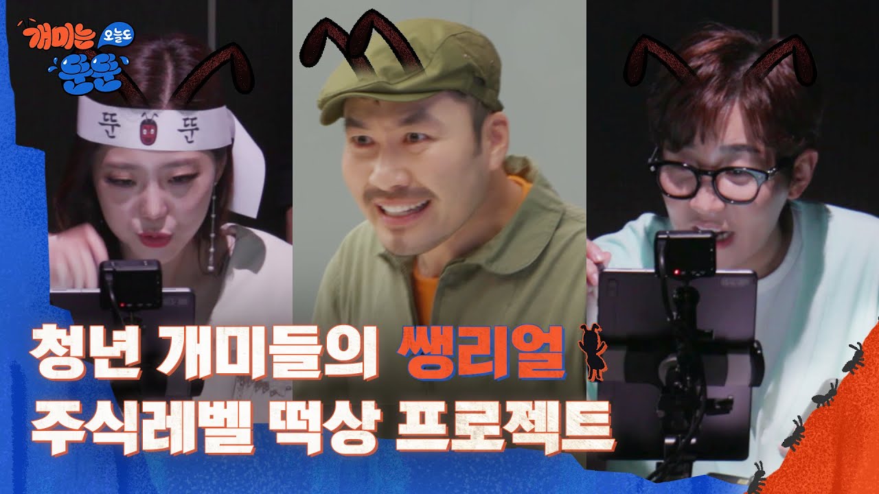 동학개미티브이 이미지