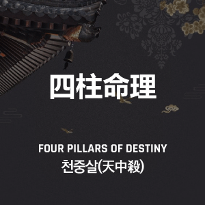 천중살(天中殺)