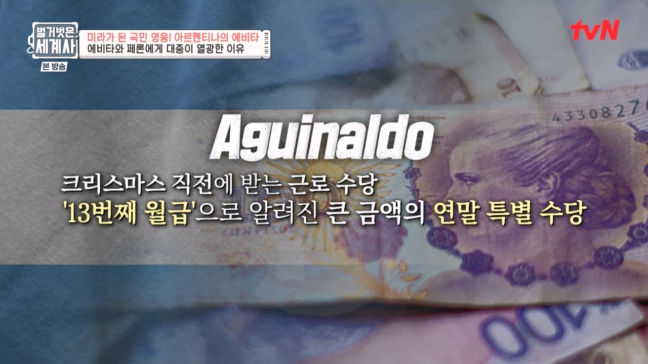 벌거벗은 세계사.E111.230809p-NEXT.mp4_20240224_173532.137.jpg