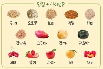 탄수화물 많은음식 적은음식_5