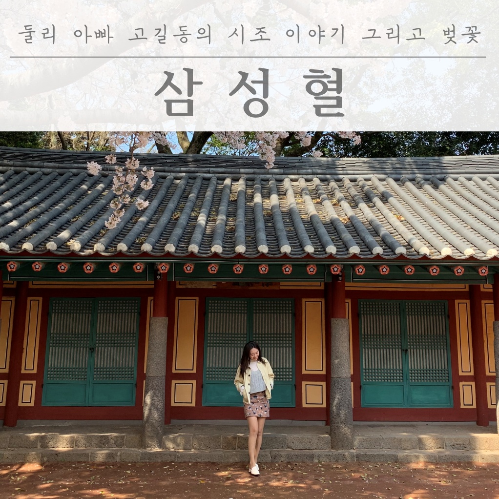  둘리 아빠 고길동의 시조이야기 그리고 벚꽃! "삼성혈"