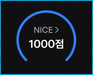 NICE 신용 점수