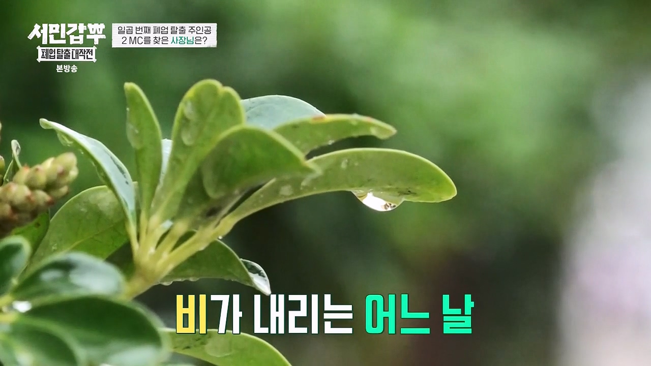 서민갑부 폐업 탈출 대작전.E08.230910p-NEXT.mp4_20230910_174505.162.jpg