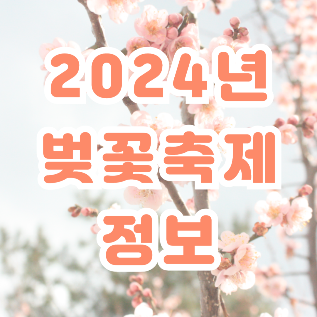 2024년 전국 벚꽃축제 정보