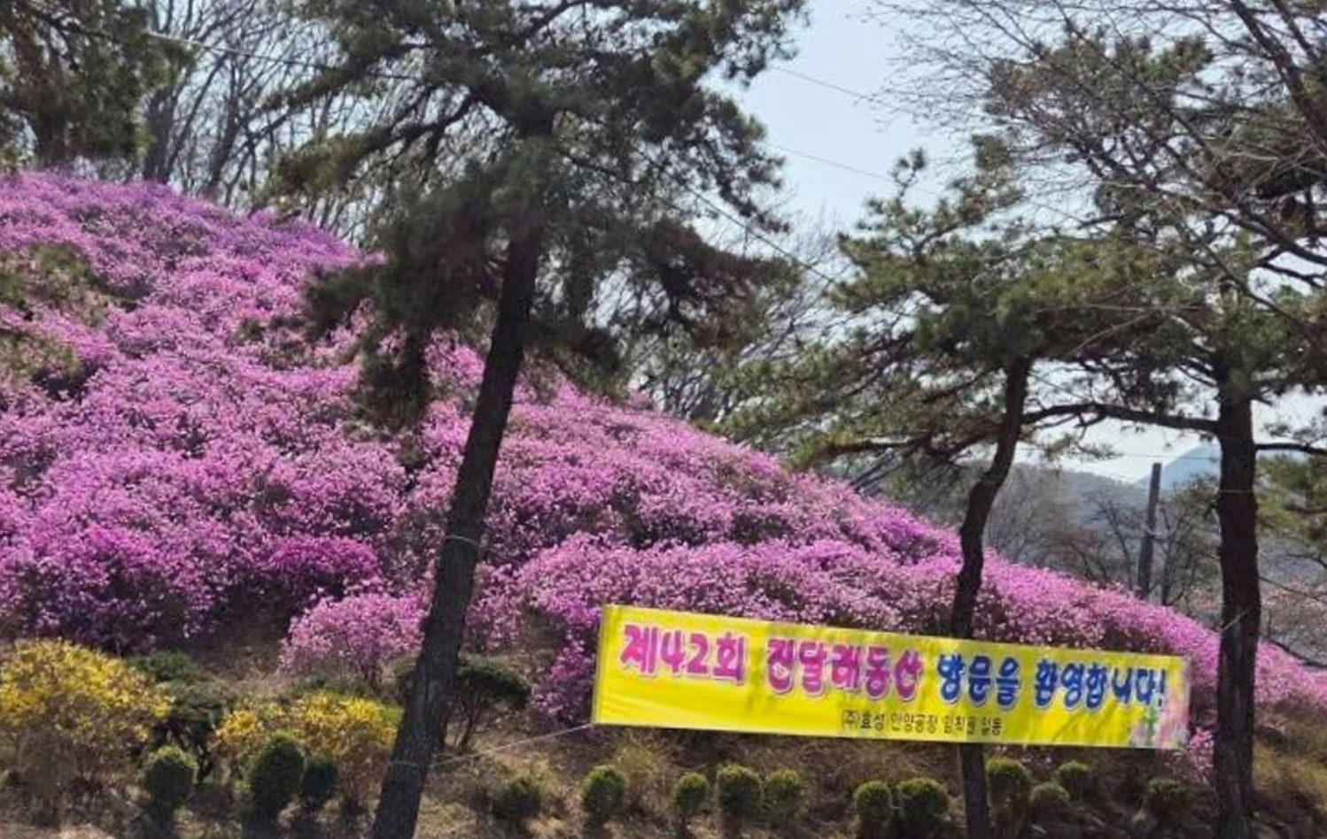 (주)효성 안양공장 이미지