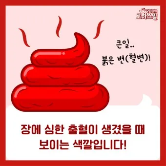 변색깔 건강 붉은색변 초록색변 검은색변_20