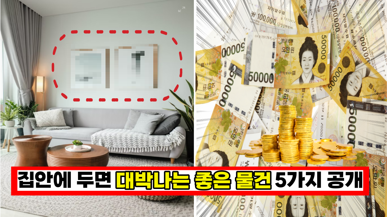  '이건 당장 해보세요' 집안에 두면 대박나는 좋은 물건 5가지 공개