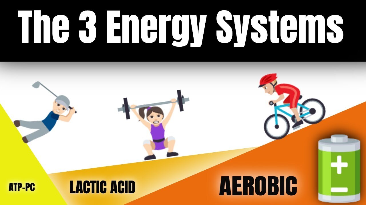 유산소 운동 vs 무산소 운동&#44; Aerobic vs Anaerobic exercises