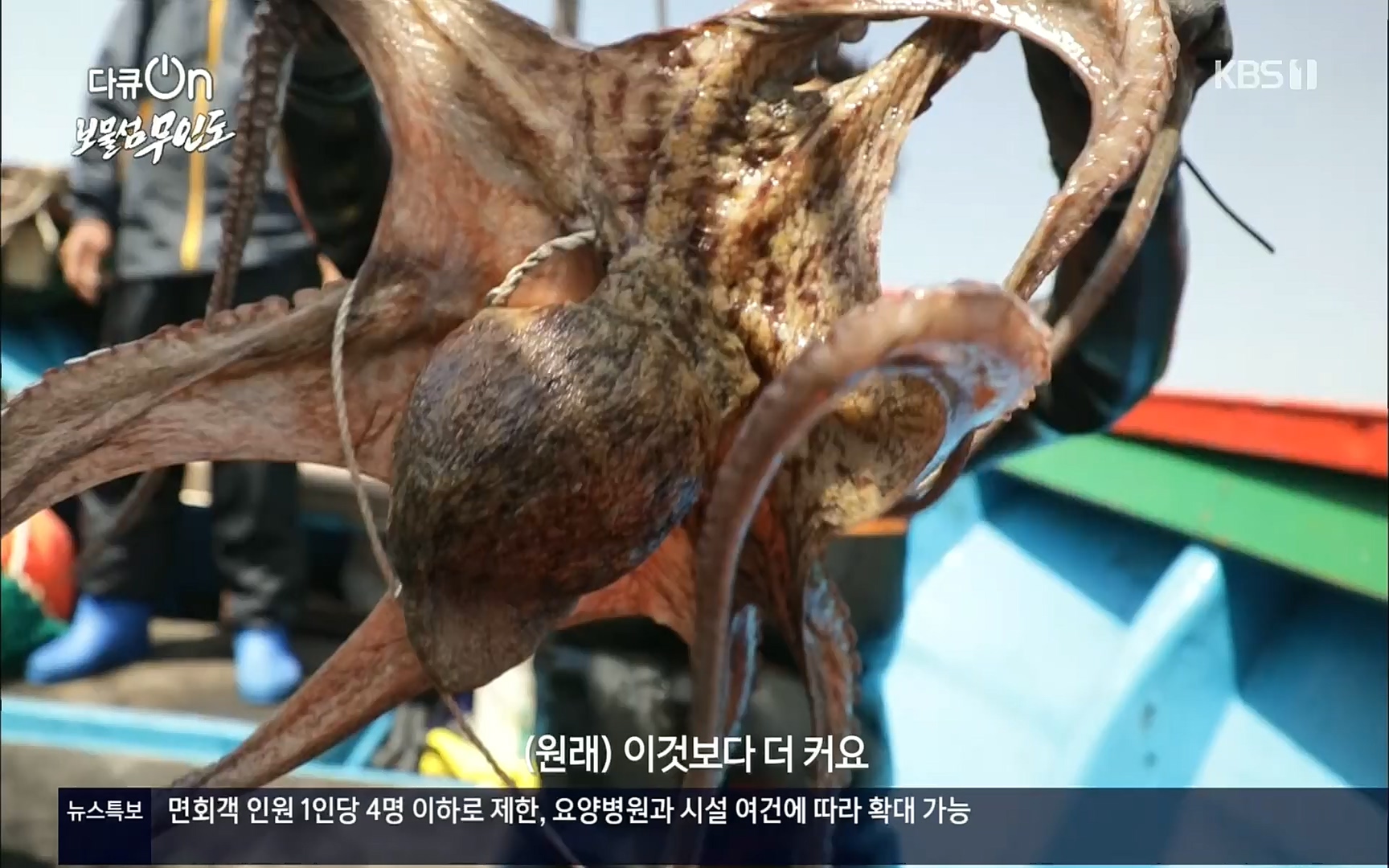 다큐 On.E141p.H264-F1RST.mp4_20220530_202702.885.jpg