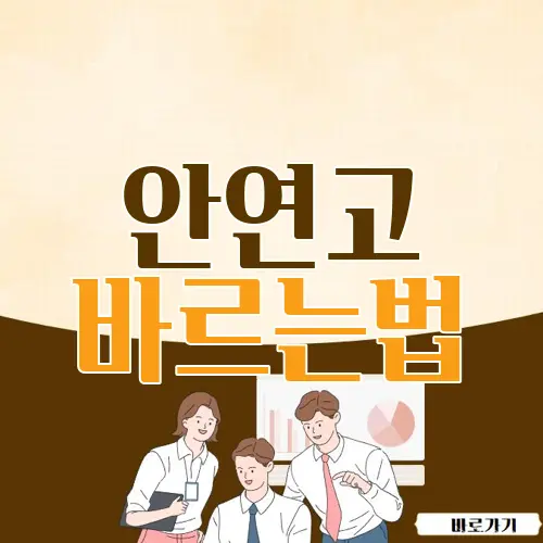 안연고 바르는법