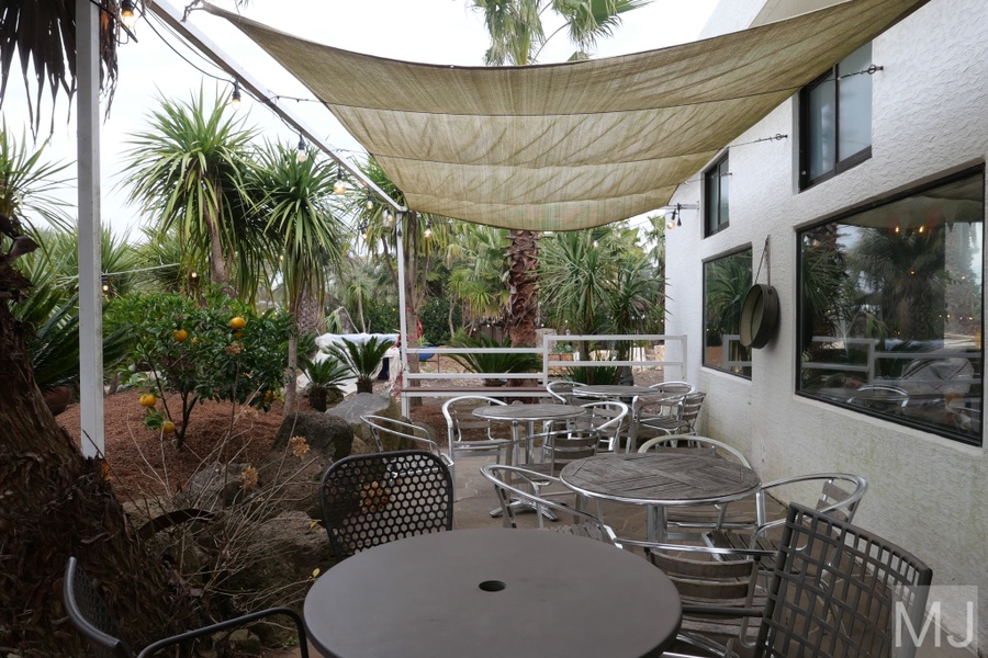 어린왕자 체험 in 감귤밭 카페 50