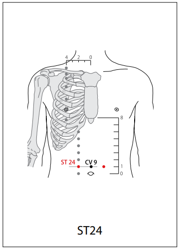 족양명위경 (ST) > ST24 활육문 (滑肉門) 1