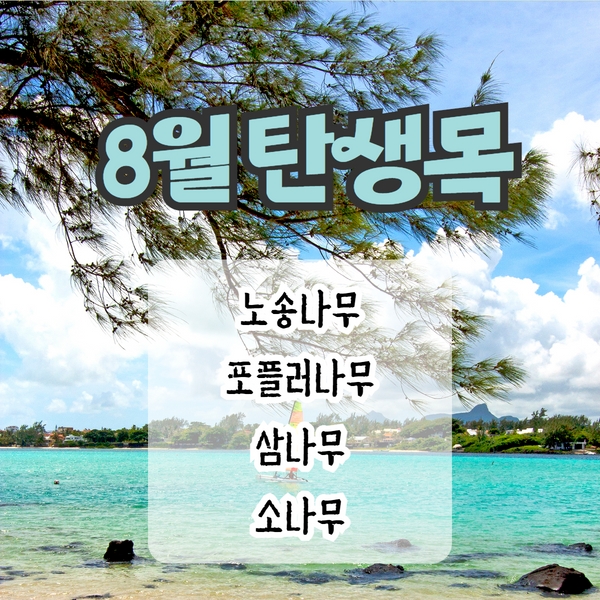  8월의 탄생목 - 노송나무, 포플러나무, 삼나무 소나무