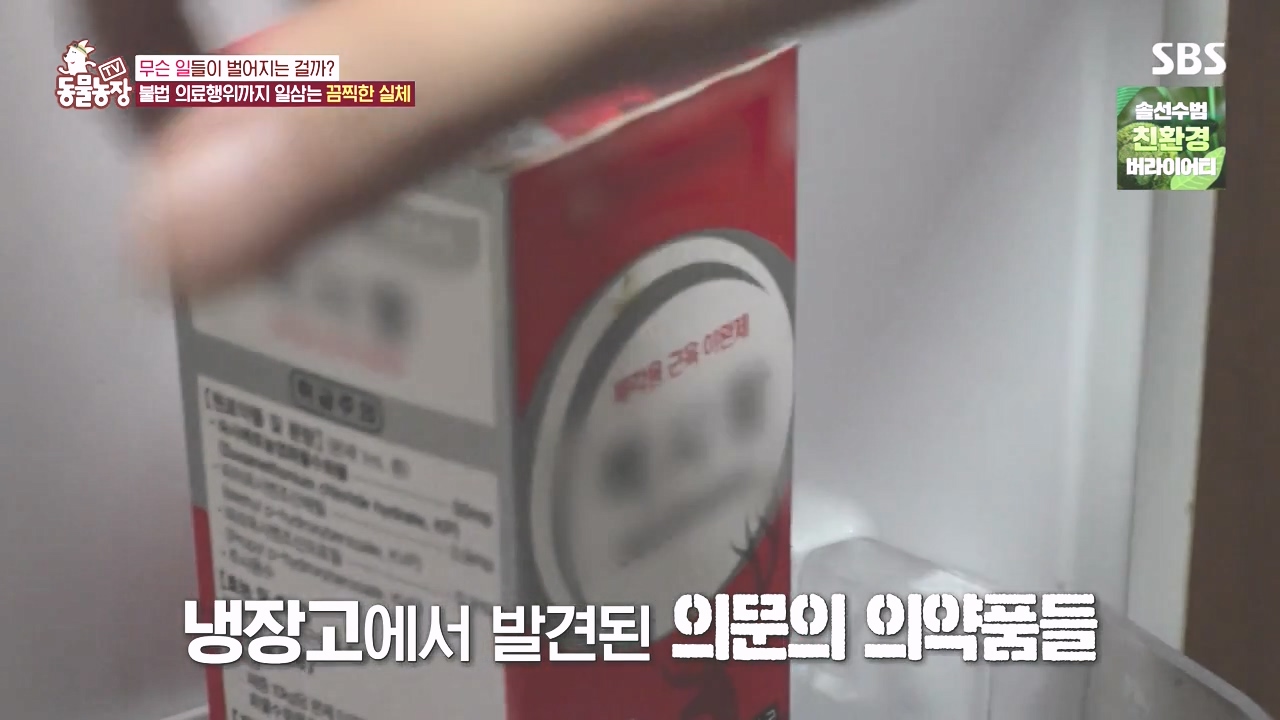 TV 동물농장.E1142.231023p-NEXT.mp4_20231022_172331.048.jpg