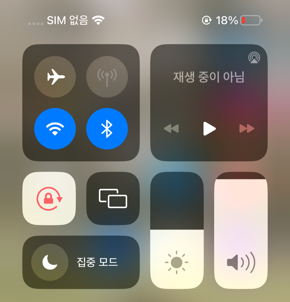 아이폰 SIM 없음