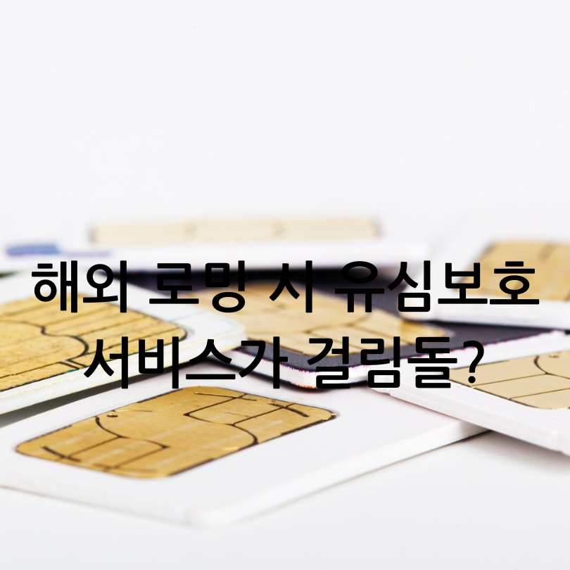 SK유심보호서비스&amp;#44; 해외 로밍