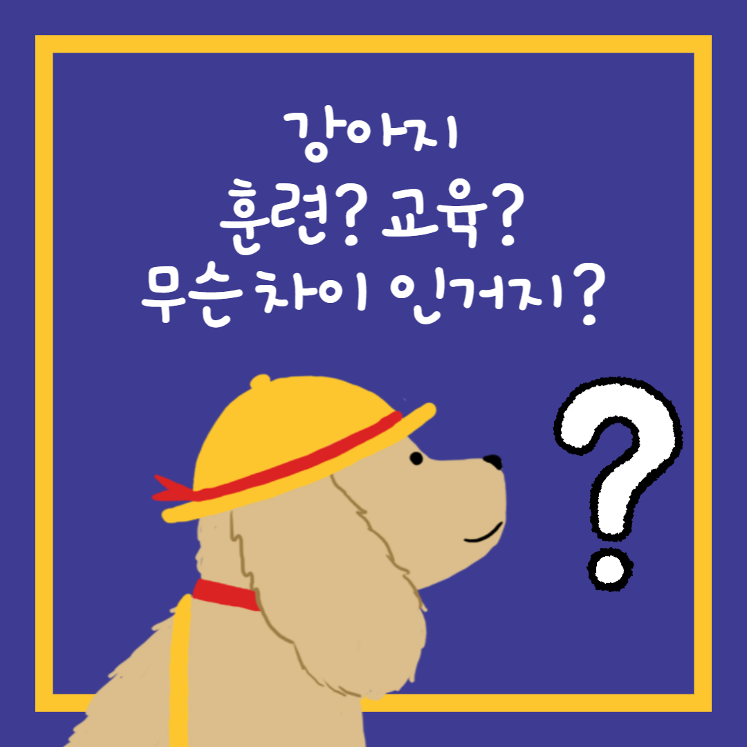  훈련이 정말 교육인 걸까?