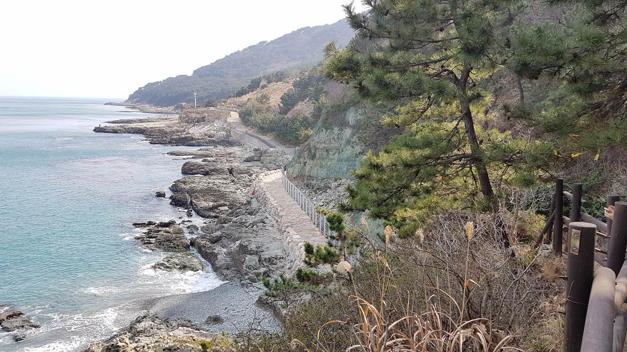 부산 근교 드라이브 코스 BEST 5 추천 (+ 야간 명소)
