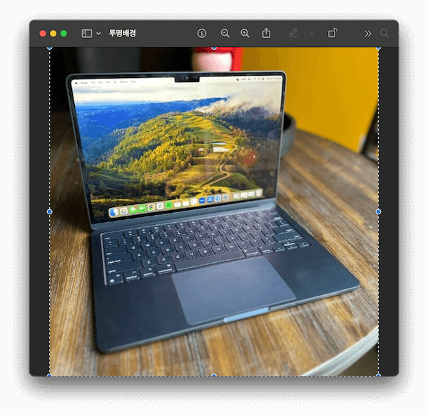 command + A를 눌러 전체선택을 한다.