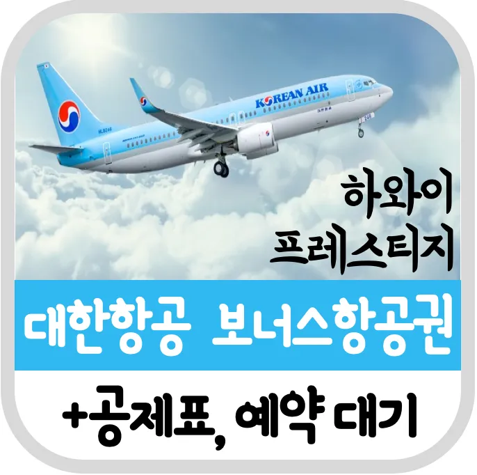 하와이 항공권 예약_7