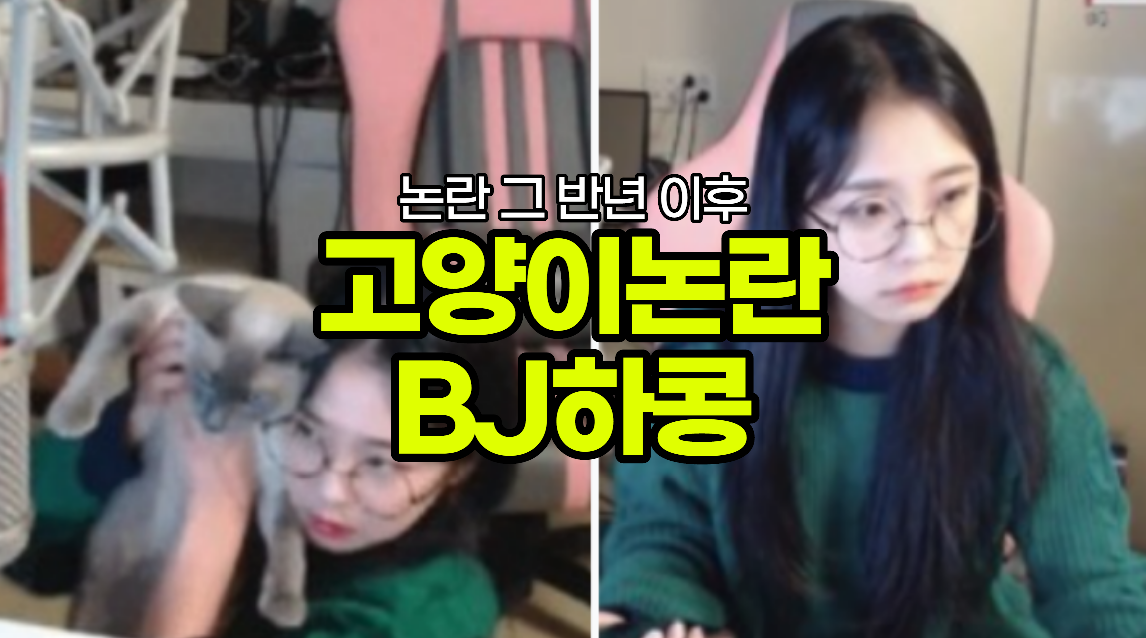  bj하콩 고양이 학대 논란, 나이, 논란 이후 현재 유튜버 BJ하콩
