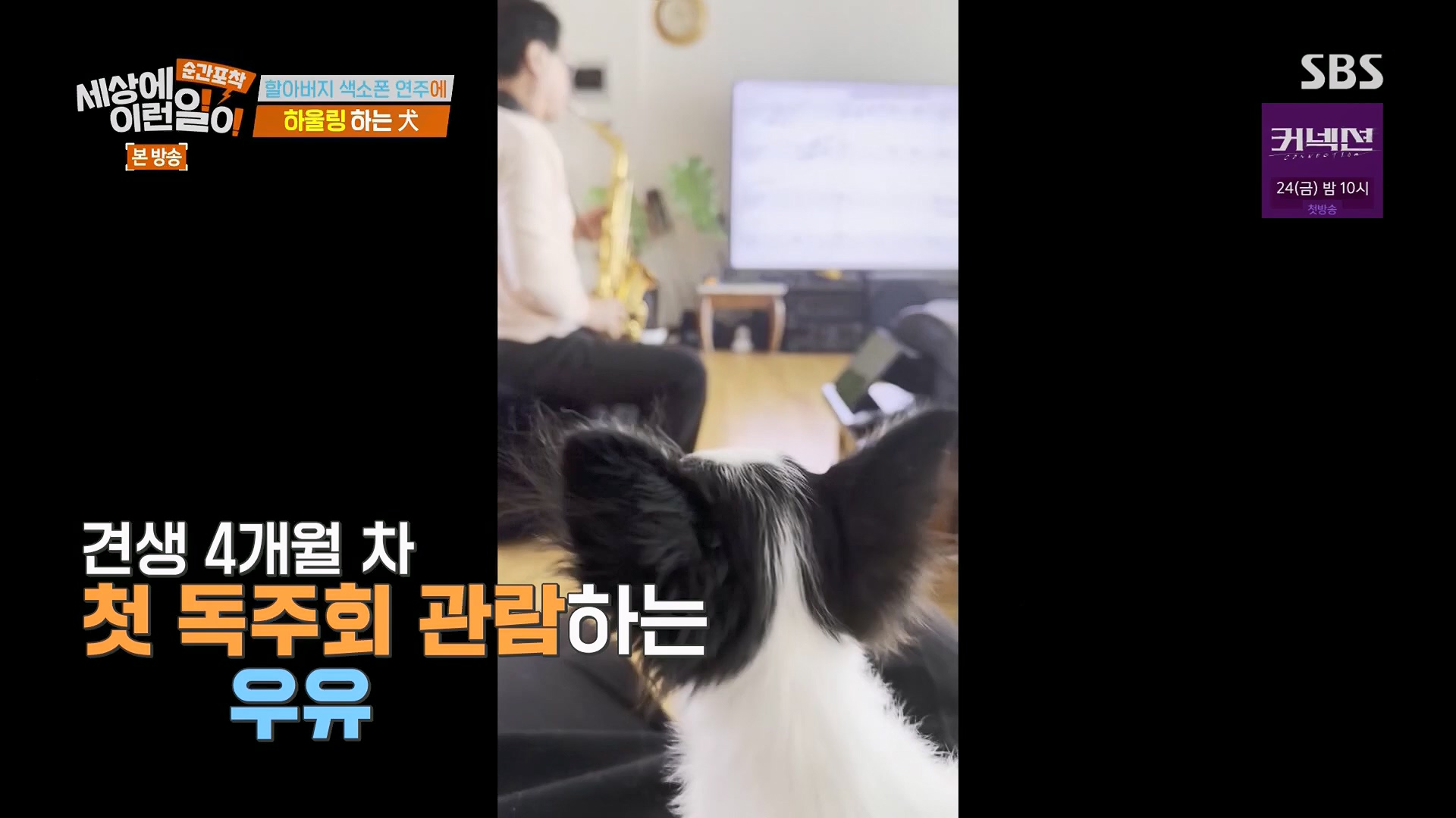 순간포착 세상에 이런일이.E1278.240518p.H264-F1RST.mp4_20240519_155529.002.jpg