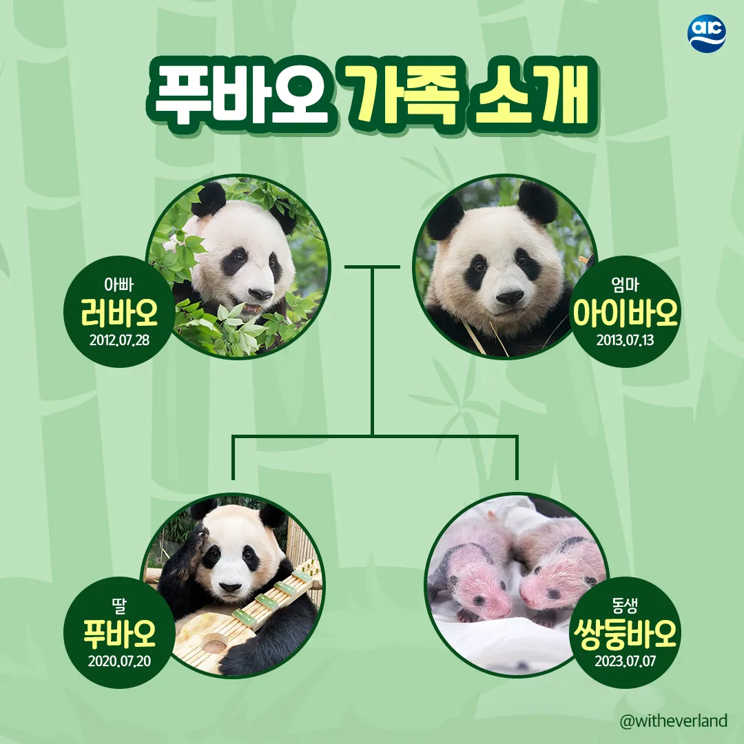 푸바오의 가족관계