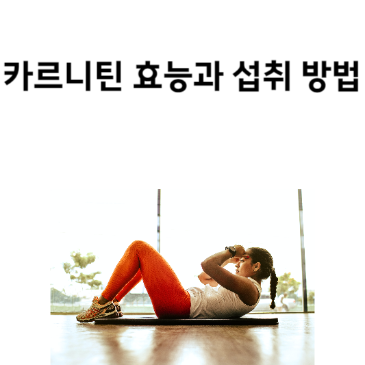 카르니틴 효능과 섭취 방법