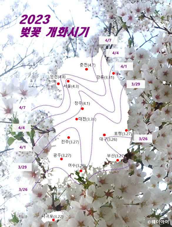 2023년 벚꽃 개화시기를 나타내는 지도