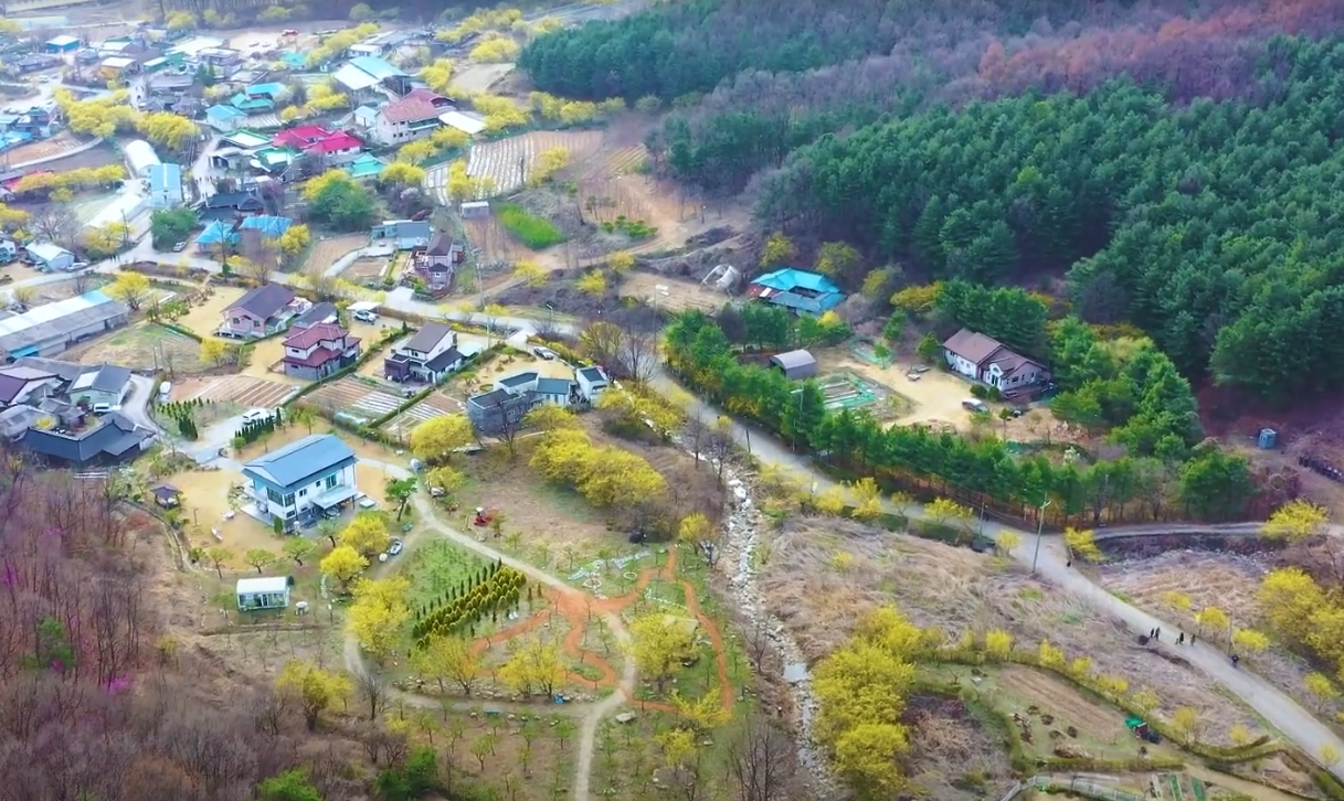 내리 산수유마을