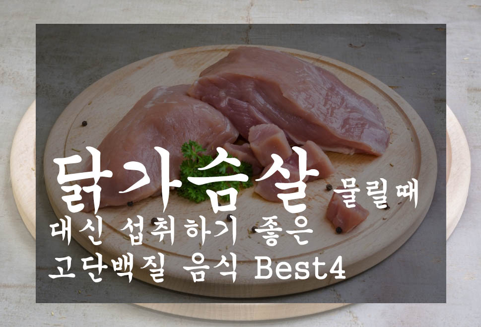 닭가슴살 물릴때 대신 섭취하기 좋은 고단백질 음식 Best4