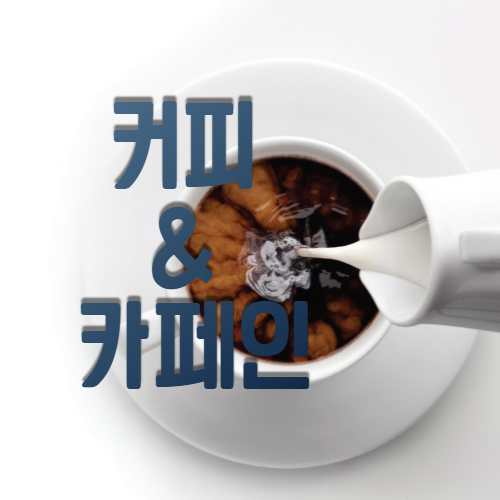  커피를 좋아하는 나! 하루 카페인 권장량 & 부작용은 알고 마시자