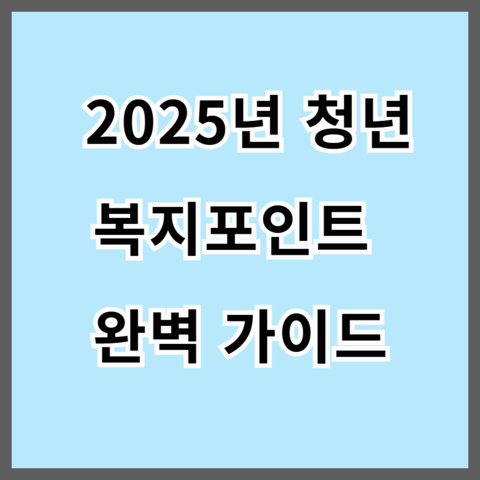 청년 복지포인트 2025 신청방법과 사용처 확인