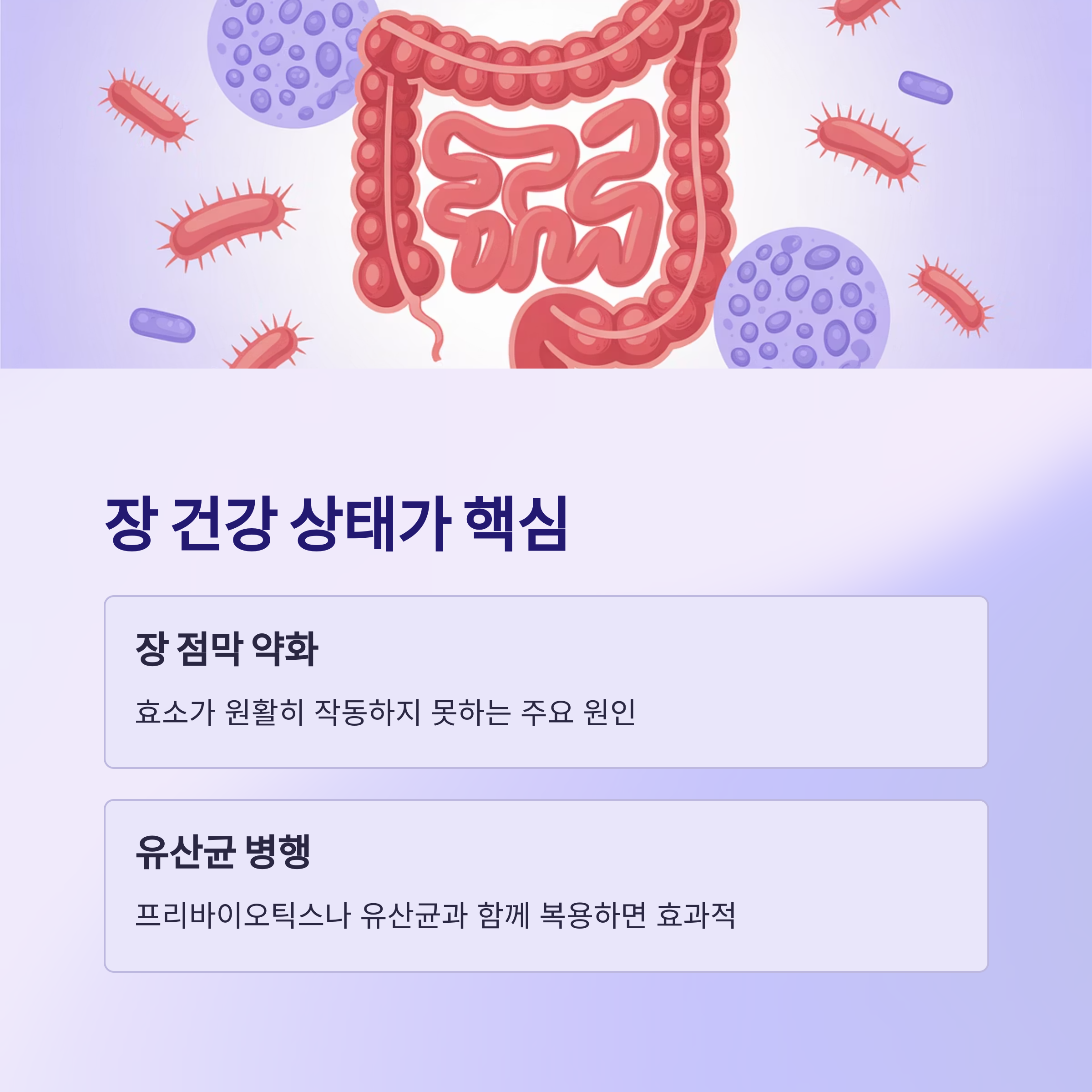 내 몸의 환경 자체가 효소 흡수를 방해하는 경우도 많습니다