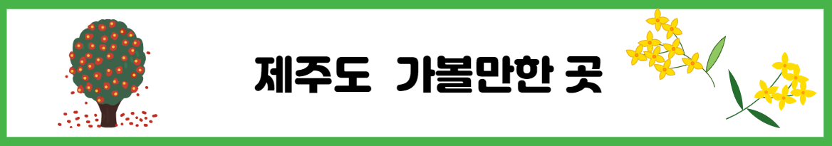 제주여행 제주밥집 &lt; 이춘옥 원조 고등어쌈밥&gt;