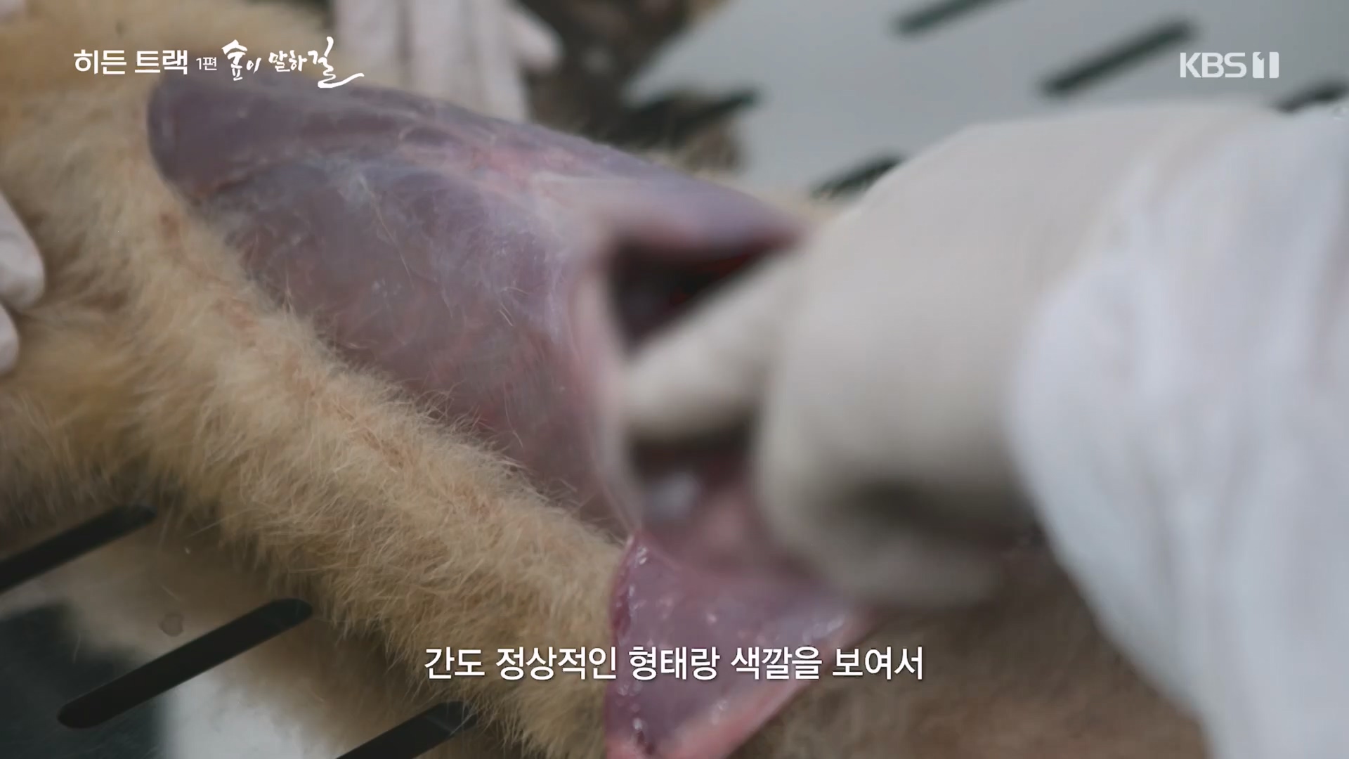 다큐 인사이트.E176.231214p.H264-F1RST.mp4_20231215_205451.501.jpg