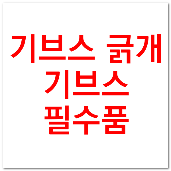  기브스 필수품 가려움 긁개 사용기 후기