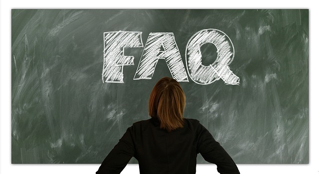 서울재즈페스티벌2025 FAQ